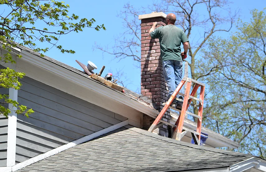 Chimney & Fireplace Inspections Services in Buffalo, MN